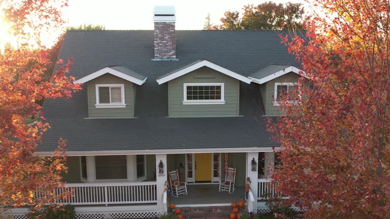 Best Roof Moss and Algae Removal  in Springfield, MN