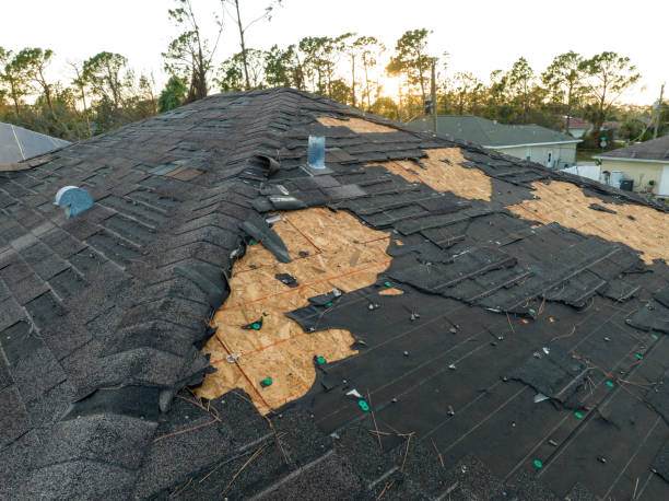 Trusted Springfield, MN Roofing Service Experts