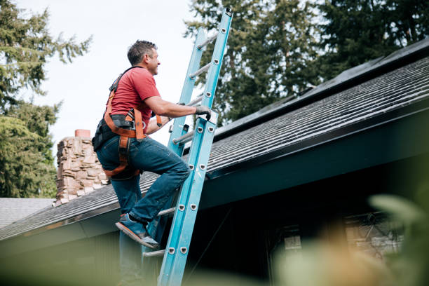 Best 4 Ply Roofing  in Springfield, MN