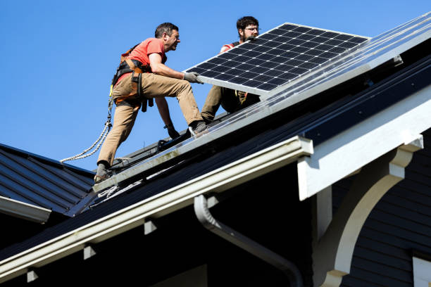 Best Roof Coating and Sealing  in Springfield, MN